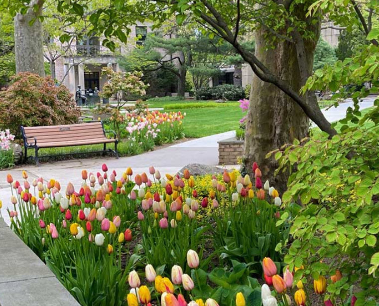 Hofstra Arboretum, United States